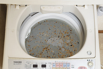 洗衣槽清潔劑200g（洗濯槽キレイサッパリ200g）【含運費】 – Arnest Japan